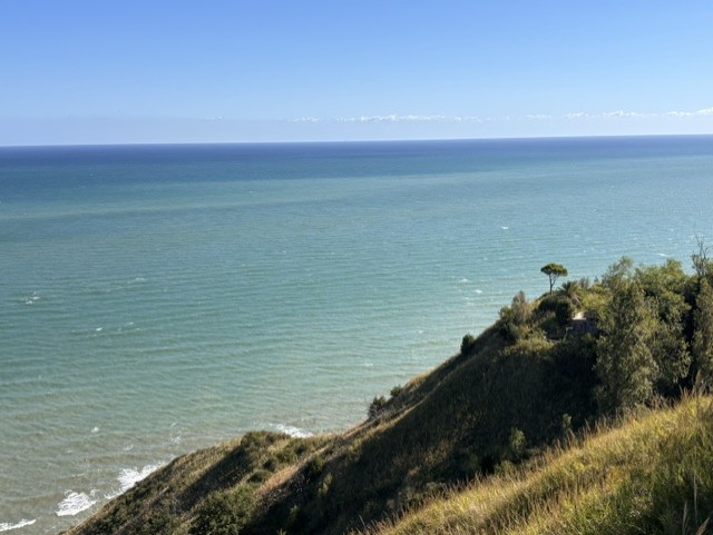 A scenic view of a coastline featuring a grassy hill sloping down to the ocean, with clear blue skies and gentle waves visible in the water.